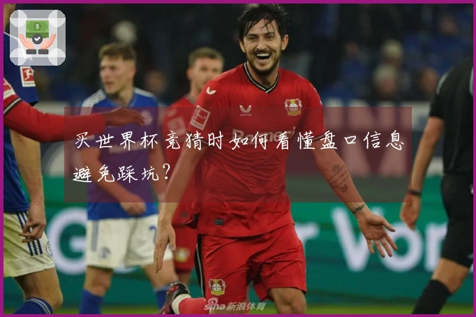 买世界杯竞猜时如何看懂盘口信息避免踩坑？