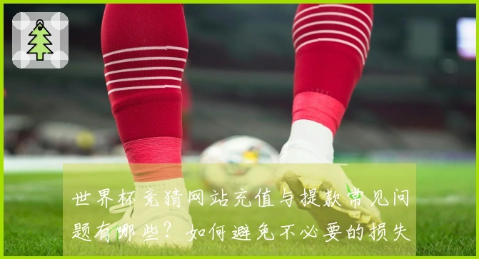世界杯竞猜网站充值与提款常见问题有哪些？如何避免不必要的损失？