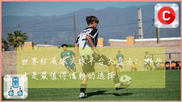 世界杯滚球买球平台大盘点：哪些才是最值得信赖的选择