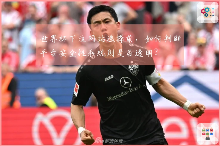 世界杯下注网站选择前，如何判断平台安全性和规则是否透明？