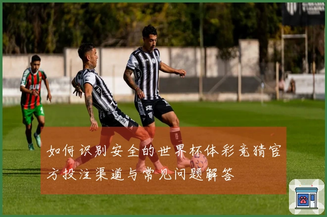 如何识别安全的世界杯体彩竞猜官方投注渠道与常见问题解答