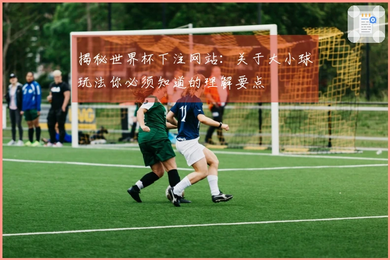 揭秘世界杯下注网站：关于大小球玩法你必须知道的理解要点