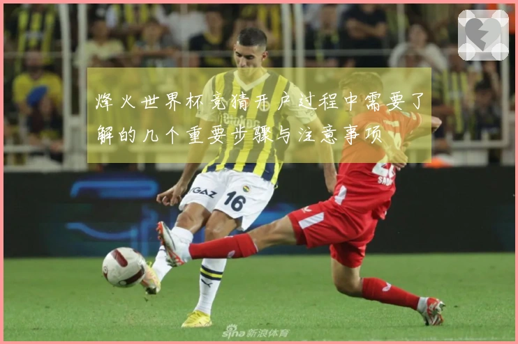 烽火世界杯竞猜开户过程中需要了解的几个重要步骤与注意事项