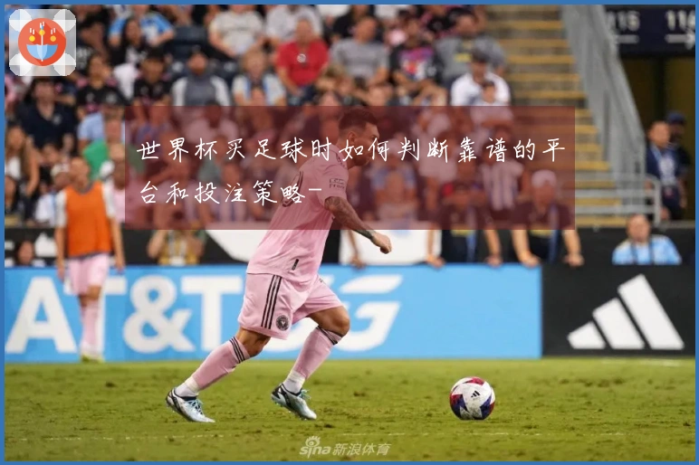 世界杯买足球时如何判断靠谱的平台和投注策略-