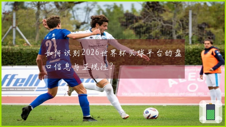如何识别2026世界杯买球平台的盘口信息与正规性？