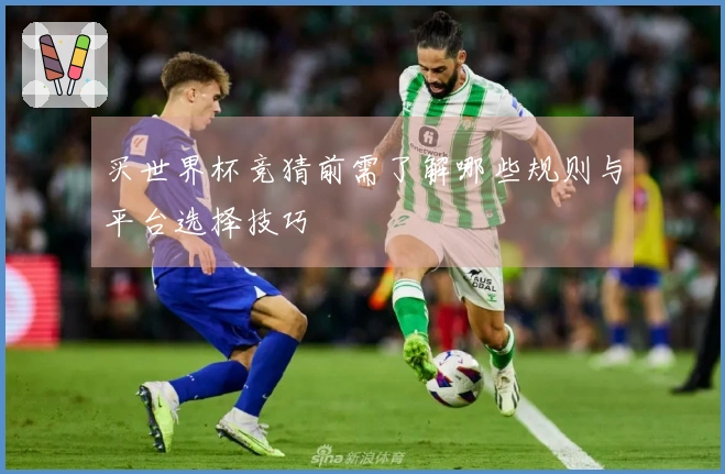 买世界杯竞猜前需了解哪些规则与平台选择技巧