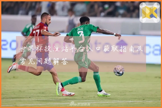 世界杯投注站平台入口获取指南及常见问题解答