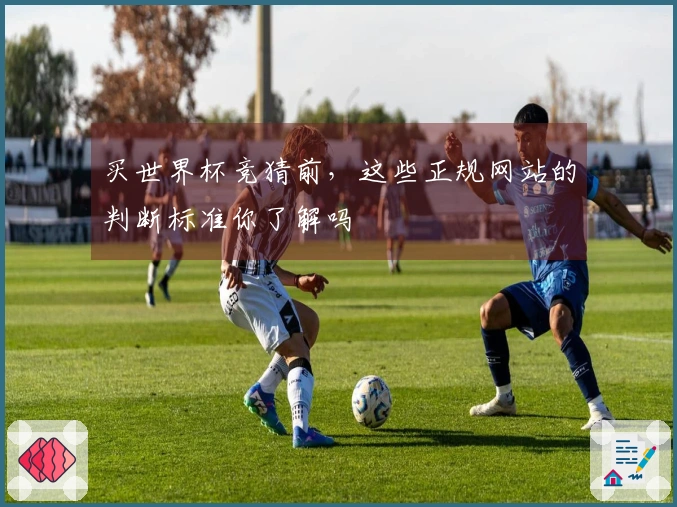 买世界杯竞猜前，这些正规网站的判断标准你了解吗