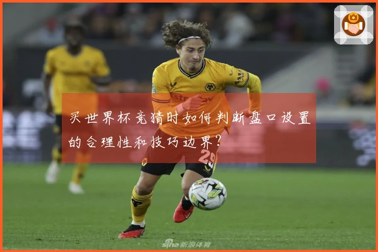 买世界杯竞猜时如何判断盘口设置的合理性和技巧边界？