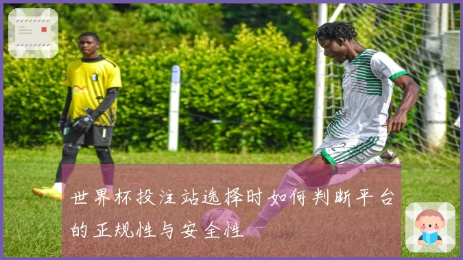 世界杯投注站选择时如何判断平台的正规性与安全性