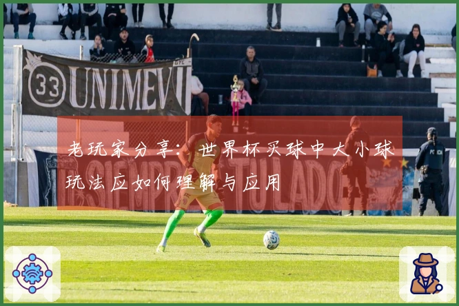 老玩家分享：世界杯买球中大小球玩法应如何理解与应用