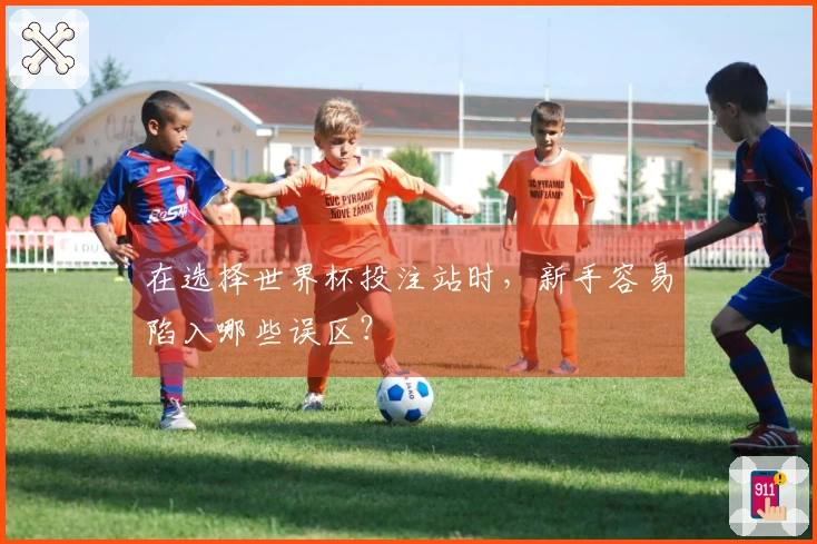 在选择世界杯投注站时，新手容易陷入哪些误区？