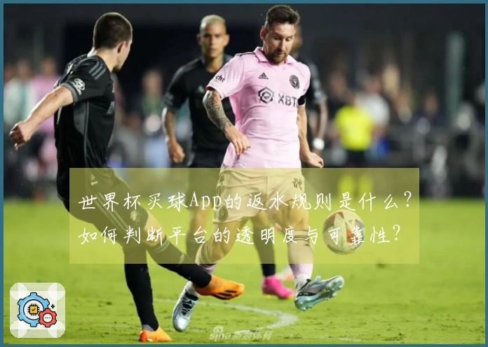 世界杯买球App的返水规则是什么？如何判断平台的透明度与可靠性？