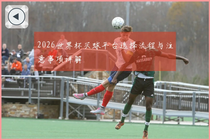 2026世界杯买球平台选择流程与注意事项详解