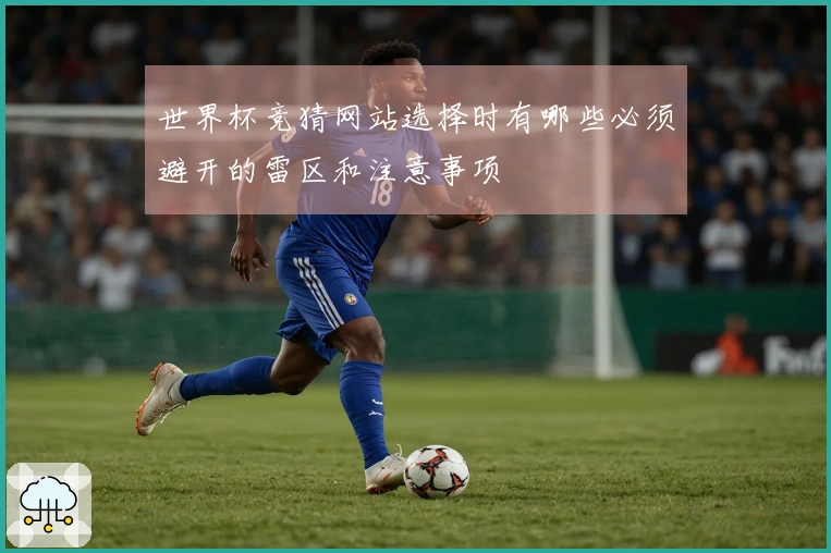 世界杯竞猜网站选择时有哪些必须避开的雷区和注意事项