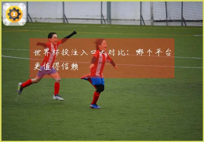 世界杯投注入口大对比：哪个平台更值得信赖