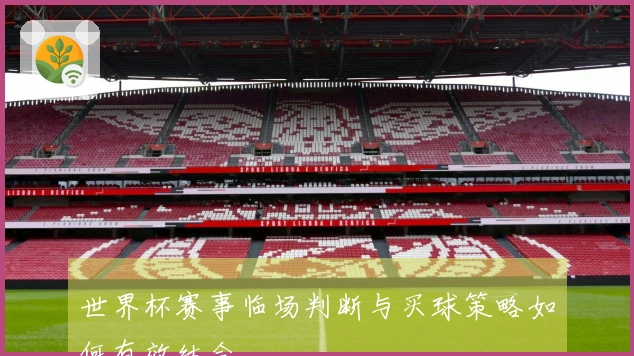 世界杯赛事临场判断与买球策略如何有效结合