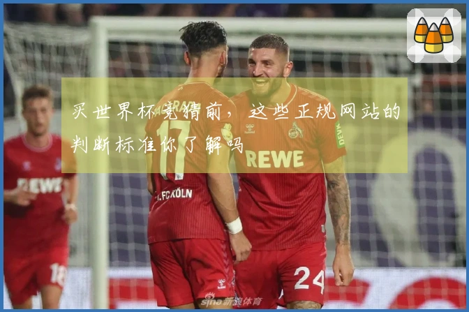 买世界杯竞猜前，这些正规网站的判断标准你了解吗