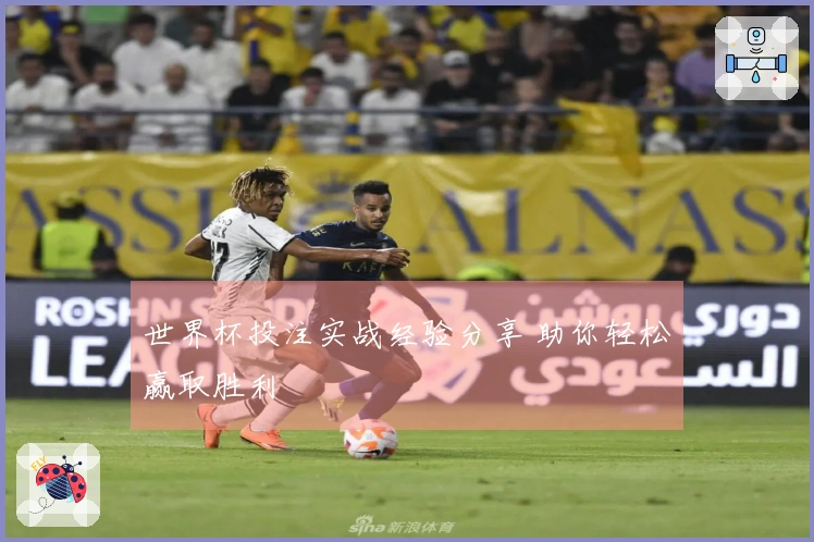 世界杯投注实战经验分享 助你轻松赢取胜利
