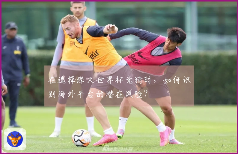 在选择烽火世界杯竞猜时，如何识别海外平台的潜在风险？
