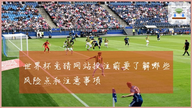 世界杯竞猜网站投注前要了解哪些风险点和注意事项
