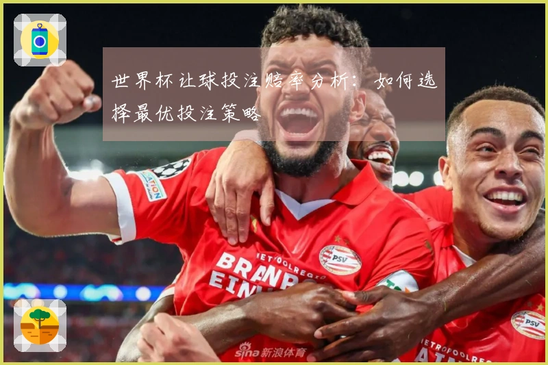 世界杯让球投注赔率分析：如何选择最优投注策略