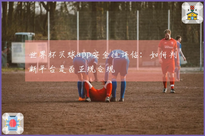 世界杯买球app安全性评估：如何判断平台是否正规合规