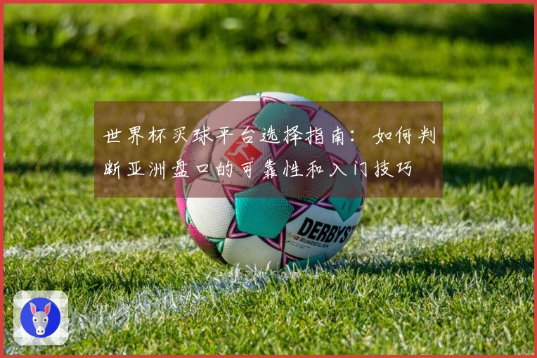 世界杯买球平台选择指南：如何判断亚洲盘口的可靠性和入门技巧