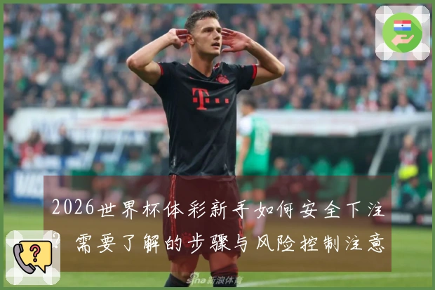 2026世界杯体彩新手如何安全下注？需要了解的步骤与风险控制注意事项