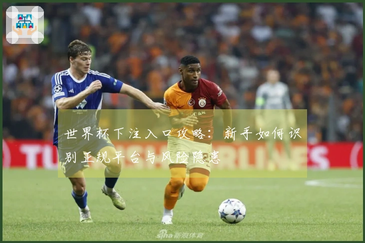 世界杯下注入口攻略：新手如何识别正规平台与风险隐患
