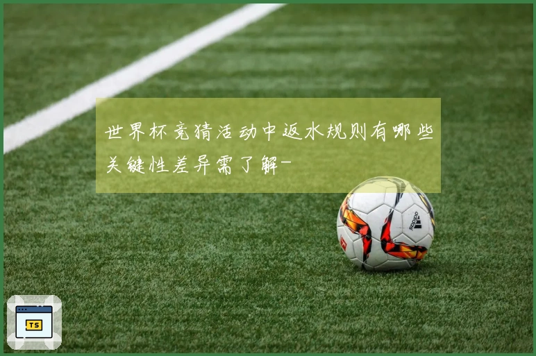 世界杯竞猜活动中返水规则有哪些关键性差异需了解-